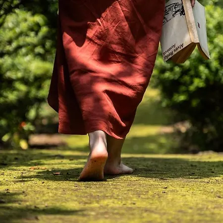 Dom wakacyjny Azores *