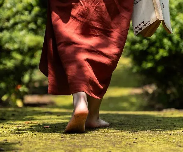 Semesterbostad Azores *